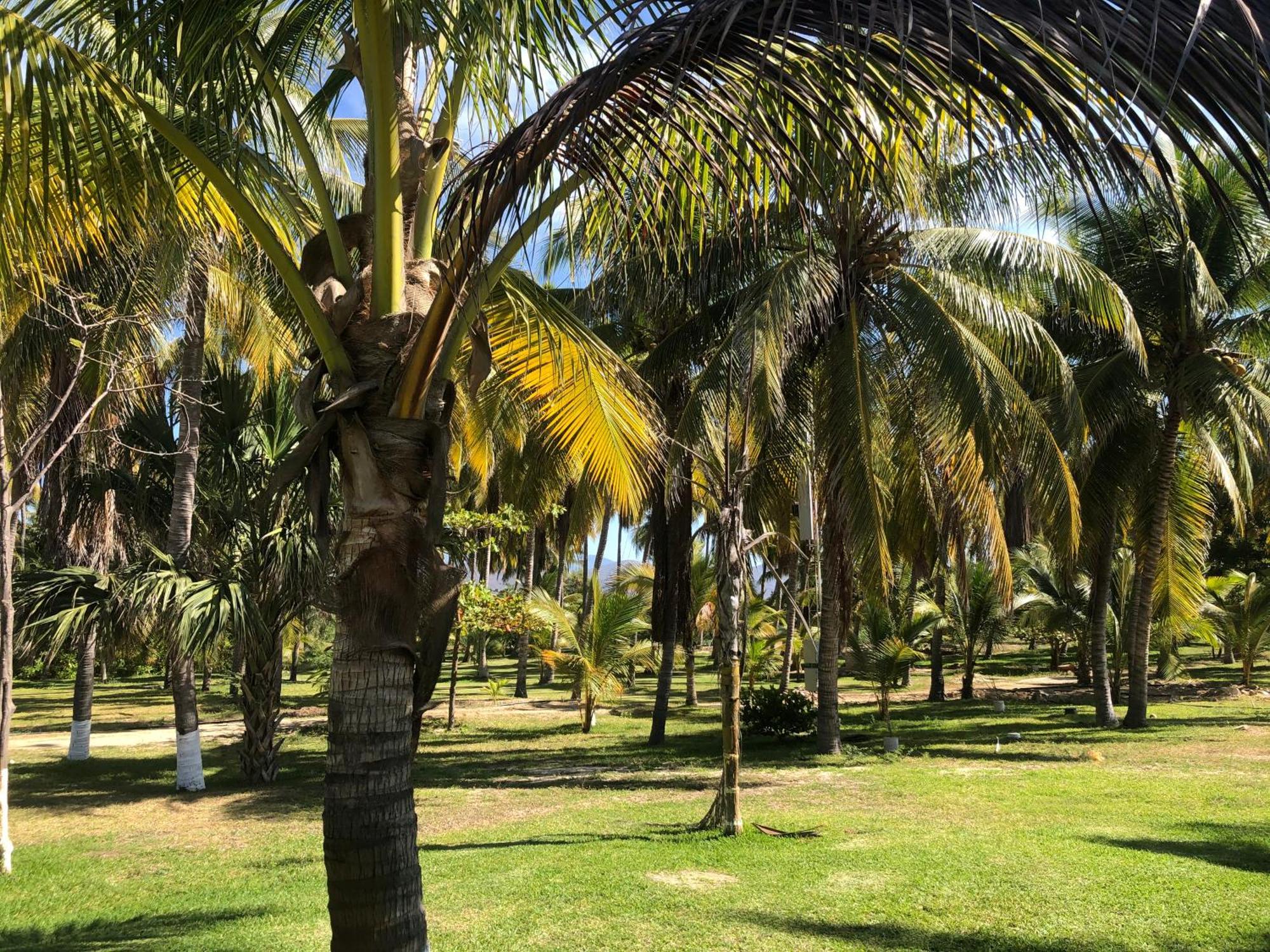 Casa Kundavi Beach Front Paradise Recado Exteriér fotografie